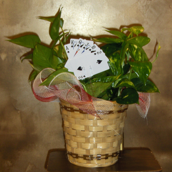 Flowers from 73 Bar Staff