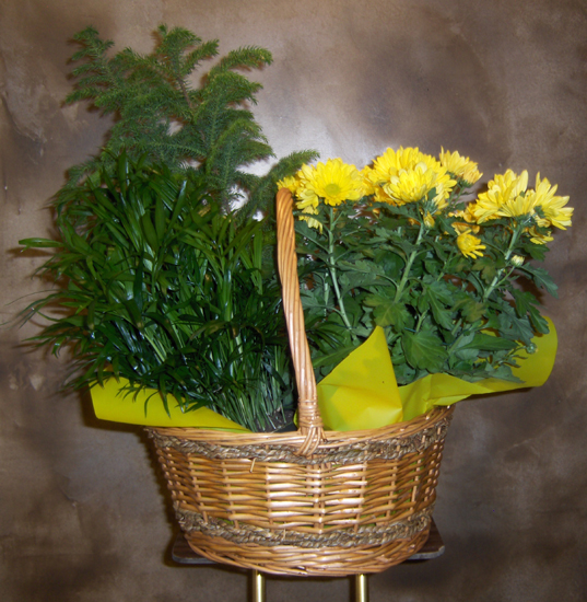 Flowers from John Applegate Toshiba Business Solutions