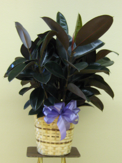Flowers from Midland Ambulance, Midland Fire Department, Midland Fire Protection District