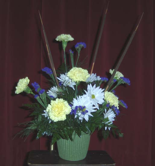 Flowers from The Cvach Ranch