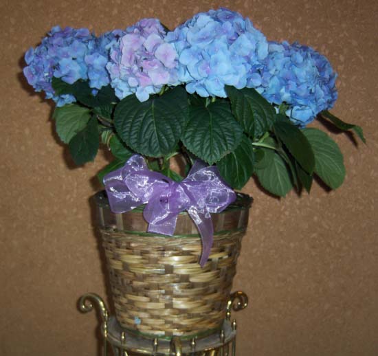 Flowers from St. Joseph's Indian School Faculty