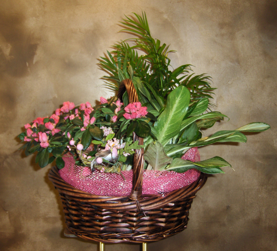 Flowers from Lee, Nancy and Josh Nemitz, Frieda Hull, Mark and Devin Otto
