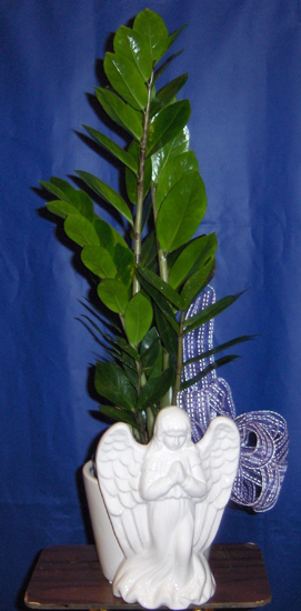 Flowers from The DeSmet School Staff, Administration, Board of Education and the Students