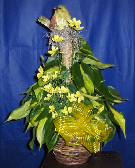 Flowers from Robyn Miller, Tim Martin