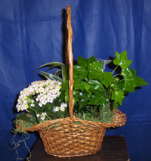 Flowers from Mike & Sharon Anderson and Family