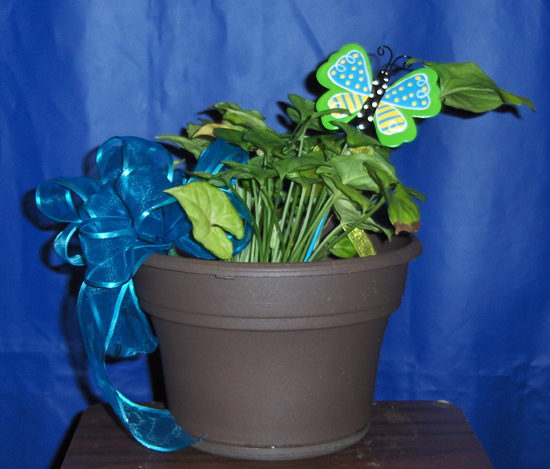 Flowers from Lisa & Laura Anderson, Carolyn Anderson and Rick Sutter