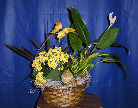 Flowers from Brett & Jen Healy and Family