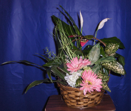Flowers from The Hillyard Family