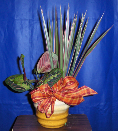 Flowers from Wasta Methodist Congregation