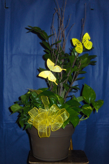 Flowers from Wall Rodeo Booster Club