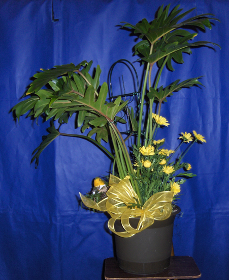 Flowers from Good Will Industries - Omaha, NE