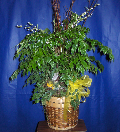 Flowers from The Wall E-Free Church Family