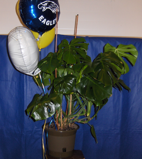 Flowers from 2009-2010 Volleyball Team