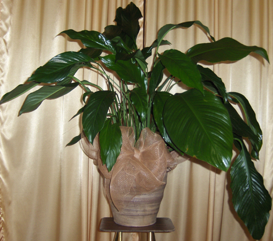 Flowers from David Pummel & Associates