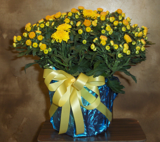 Flowers from David, Michelle and Kids  - Seth & Karmen