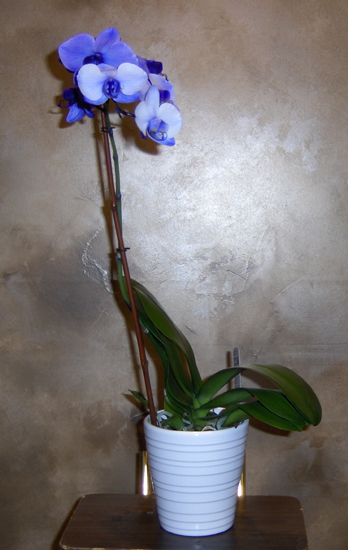 Flowers from Interior Volunteer Fire Department