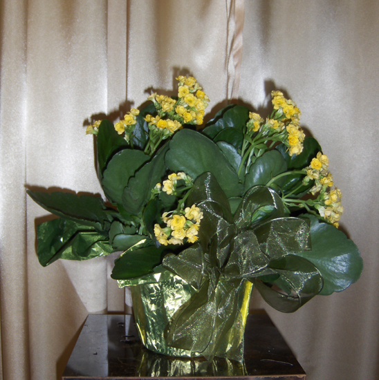 Flowers from The Bill Buchholz Family