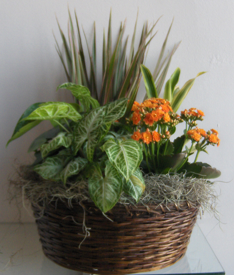 Flowers from Pat Hughes, Prairie Companies
