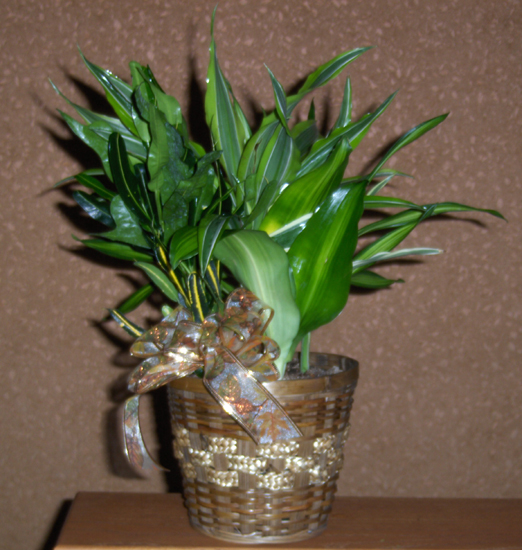 Flowers from The Class of 1961