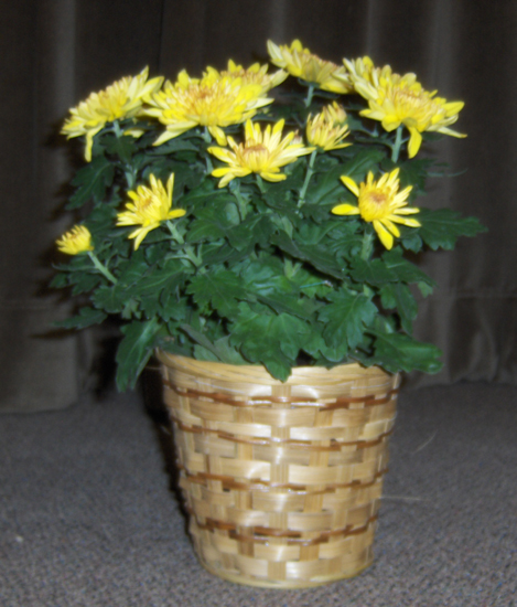Flowers from White River Board of Education, Administration, Staff and Students