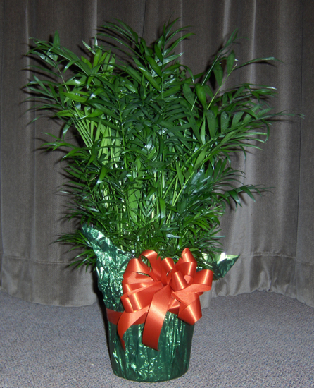 Flowers from Rusty, Johanna, Richie and Jamie