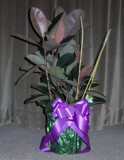 Flowers from Your better half's family