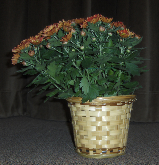 Flowers from Class of 2010