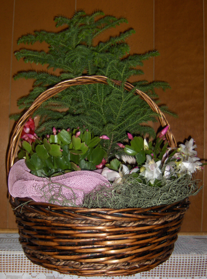 Flowers from Donna & Gene Dees