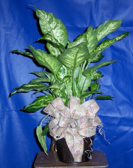 Flowers from Heidi Coller and Jerica and Family