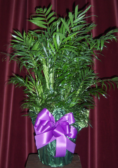 Flowers from South Dakota Counties