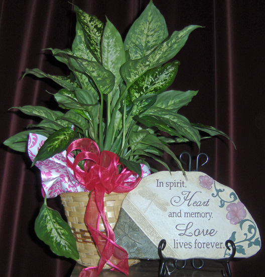Flowers from Vicki & Brennan Daly & Boys
