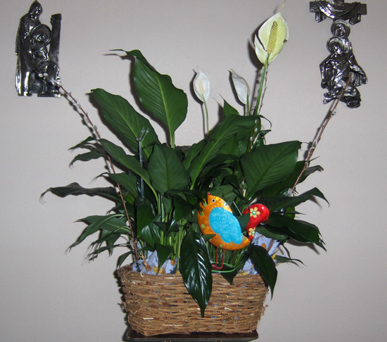 Flowers from Lorraine Polak, Angie Boddicker, Barb Friedman, Jolene Brekke, Kari Sengeri, Deb LaBree & Ann DeVany