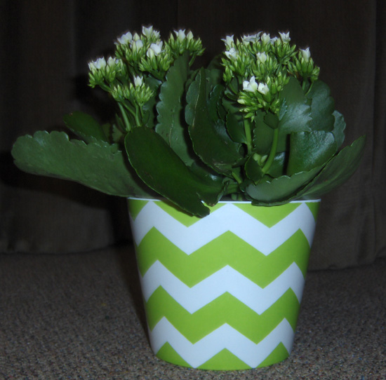 Flowers from Sunshine Fund on Behalf of Haakon County School District