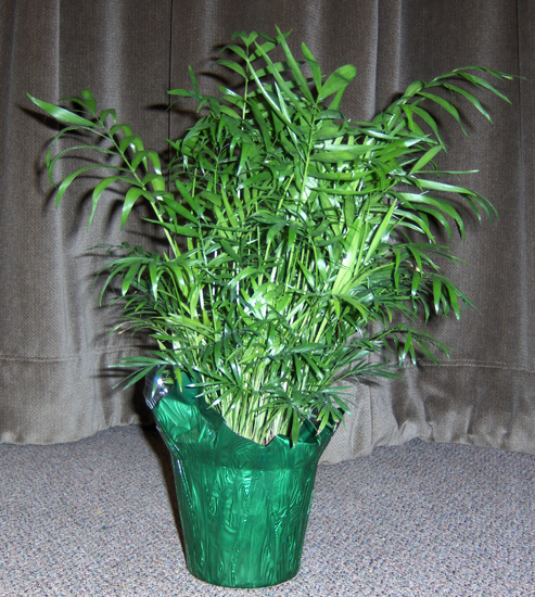 Flowers from Philip Golf Team