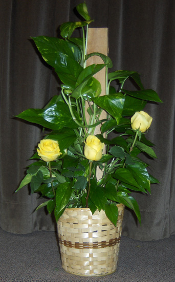Flowers from Philip FFA