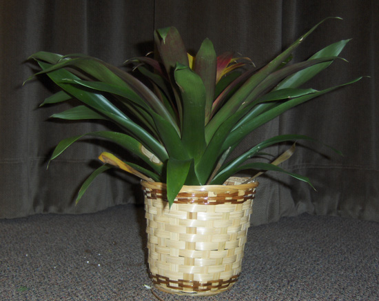 Flowers from Scott & Beth Kennedy