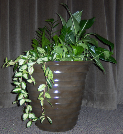 Flowers from Juanita & Veryl Schroeder
