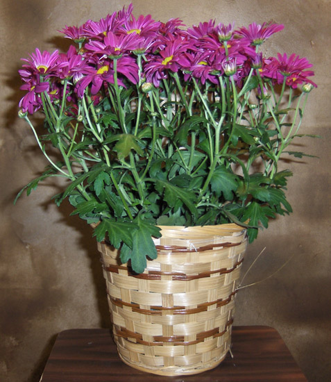Flowers from Sunshine Fund on behalf of Haakon School District