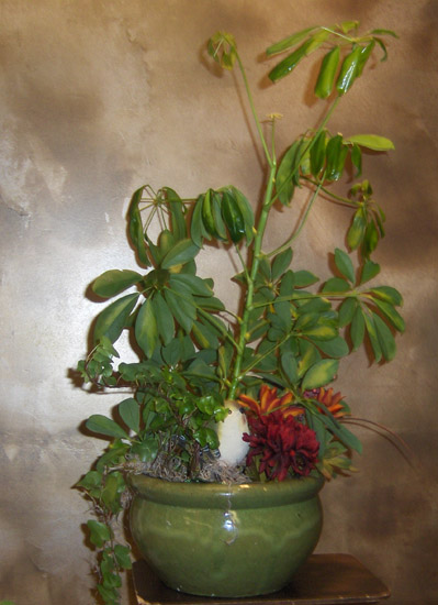 Flowers from Jay & Elke Baxter