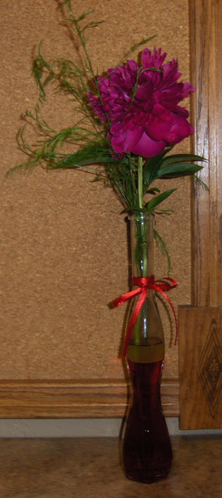 Flowers from Thelma
