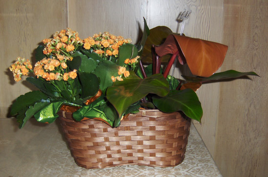 Flowers from Jim & Debbie Antonsen and Family