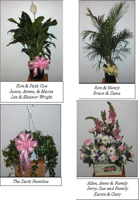 Flowers from 