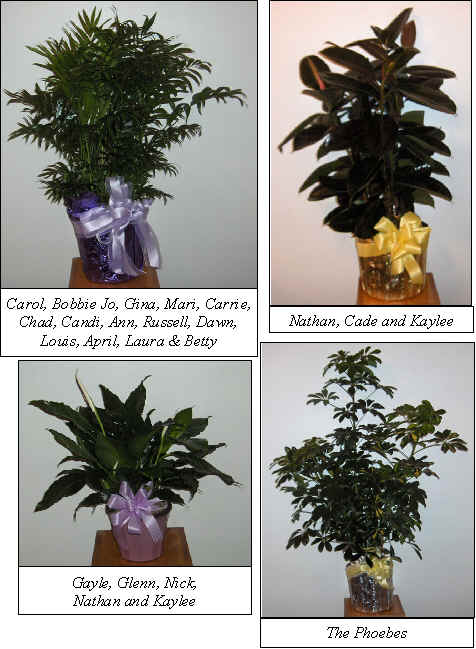 Flowers from 
