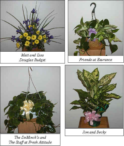Flowers from 