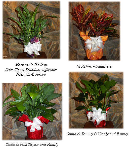 Flowers from 