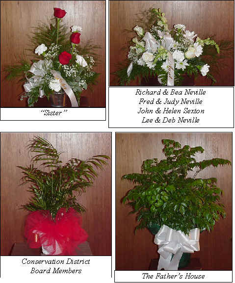 Flowers from 