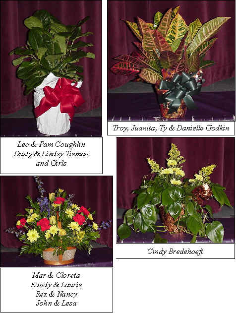 Flowers from 