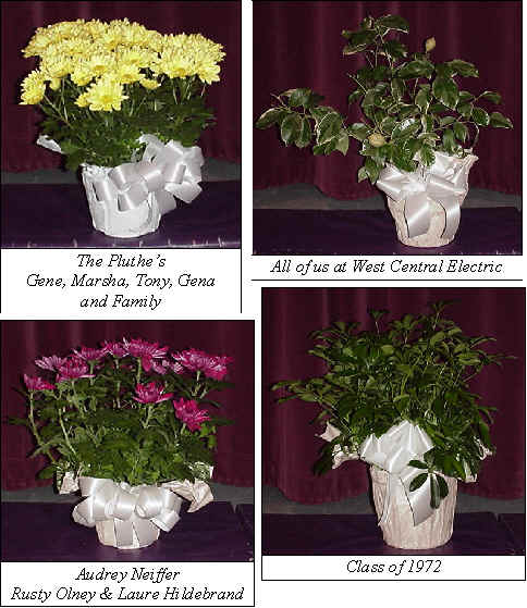 Flowers from 