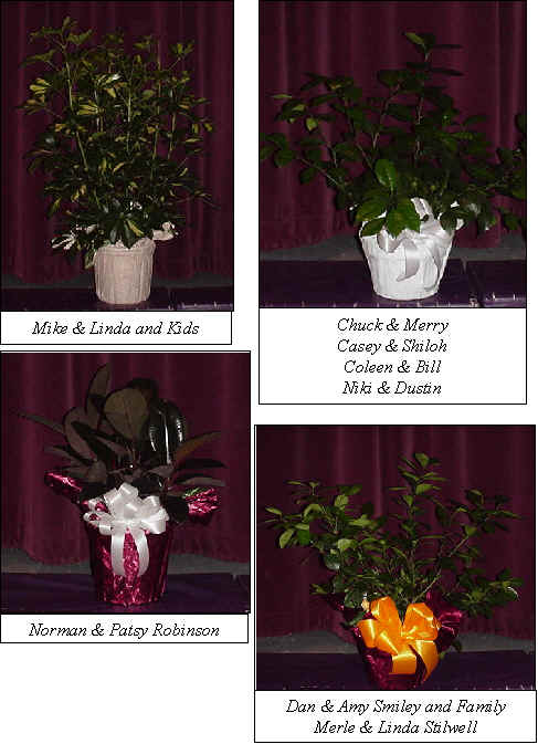 Flowers from 