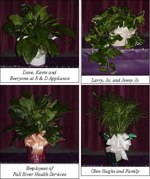 Flowers from 
